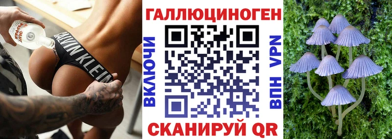 omg онион  Тайга  shop телеграм  Галлюциногенные грибы прущие грибы 